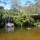 Paradise found